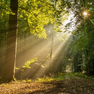 Breathe Anxiety Away Breathwork