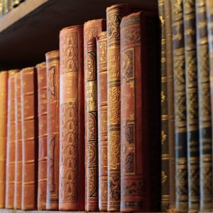 _New 'Hidden Library After Hours' Sleep Story